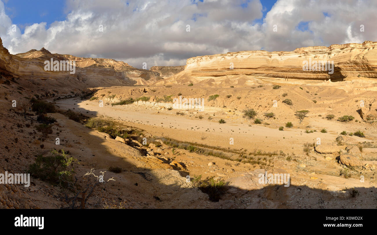Cañón de piedra caliza de Wadi Shuwaymiyah, Dhofar, Omán Foto de stock