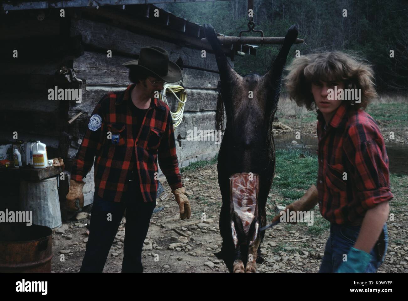 Dos cazadores, un padre y un hijo, vistiendo camisas de franela, utilizando un cuchillo para vestir el cadáver de un jabalí mató durante un viaje de caza, el hijo con un comodín en el rostro, de 1971. Crédito de la foto Smith Colección/Gado/Getty Images. Foto de stock