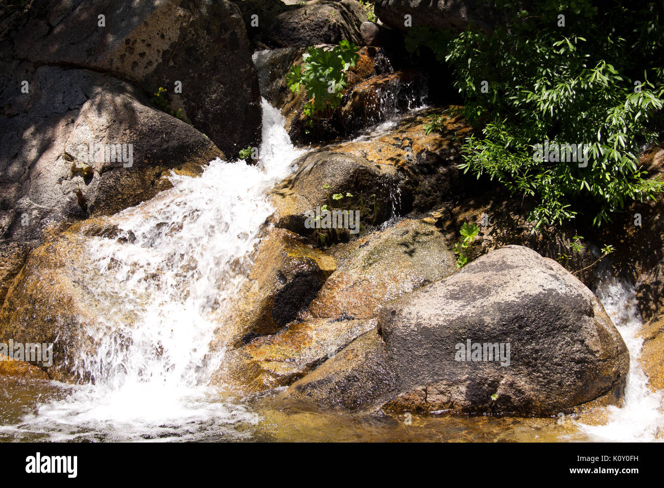 Una pequeña cascada cerca del Parque Nacional de Yosemite Foto de stock