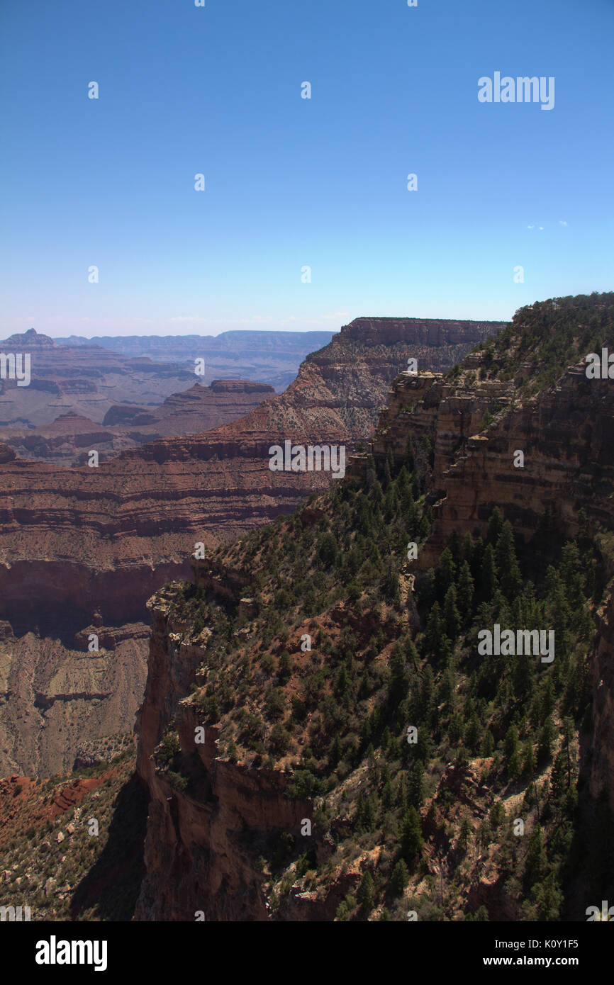 Vistas del Grand Canyon National Park durante el verano, con cielos azules. Foto de stock