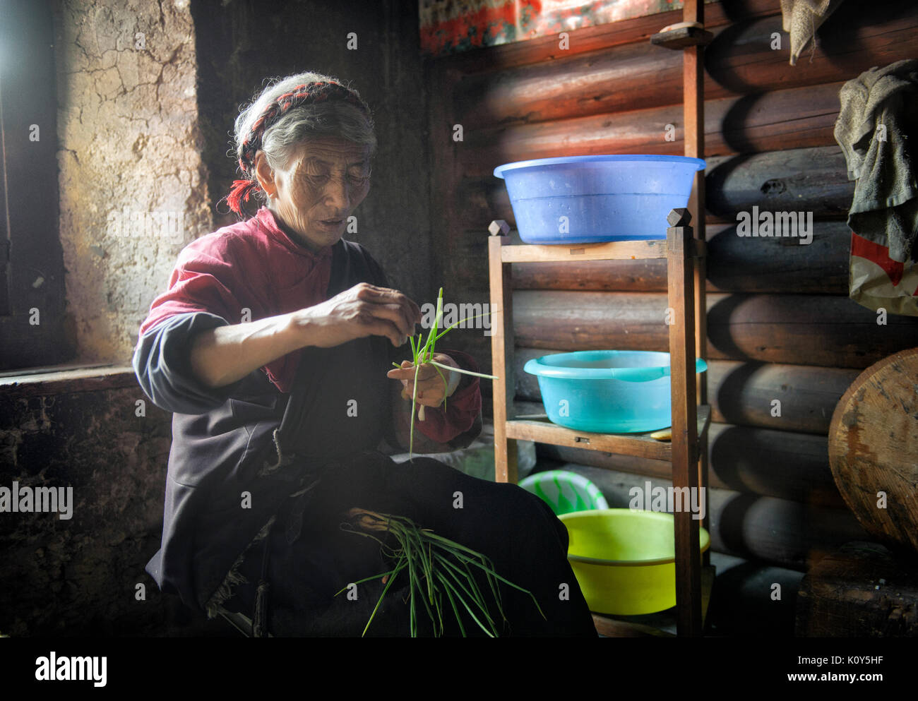 Mujer tibetana limpia cebolletas Laghang, meseta tibetana Foto de stock