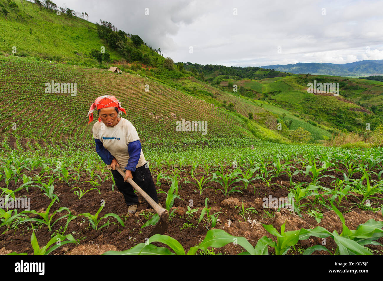 Los campesinos chinos del sur de Yunnan. China Foto de stock