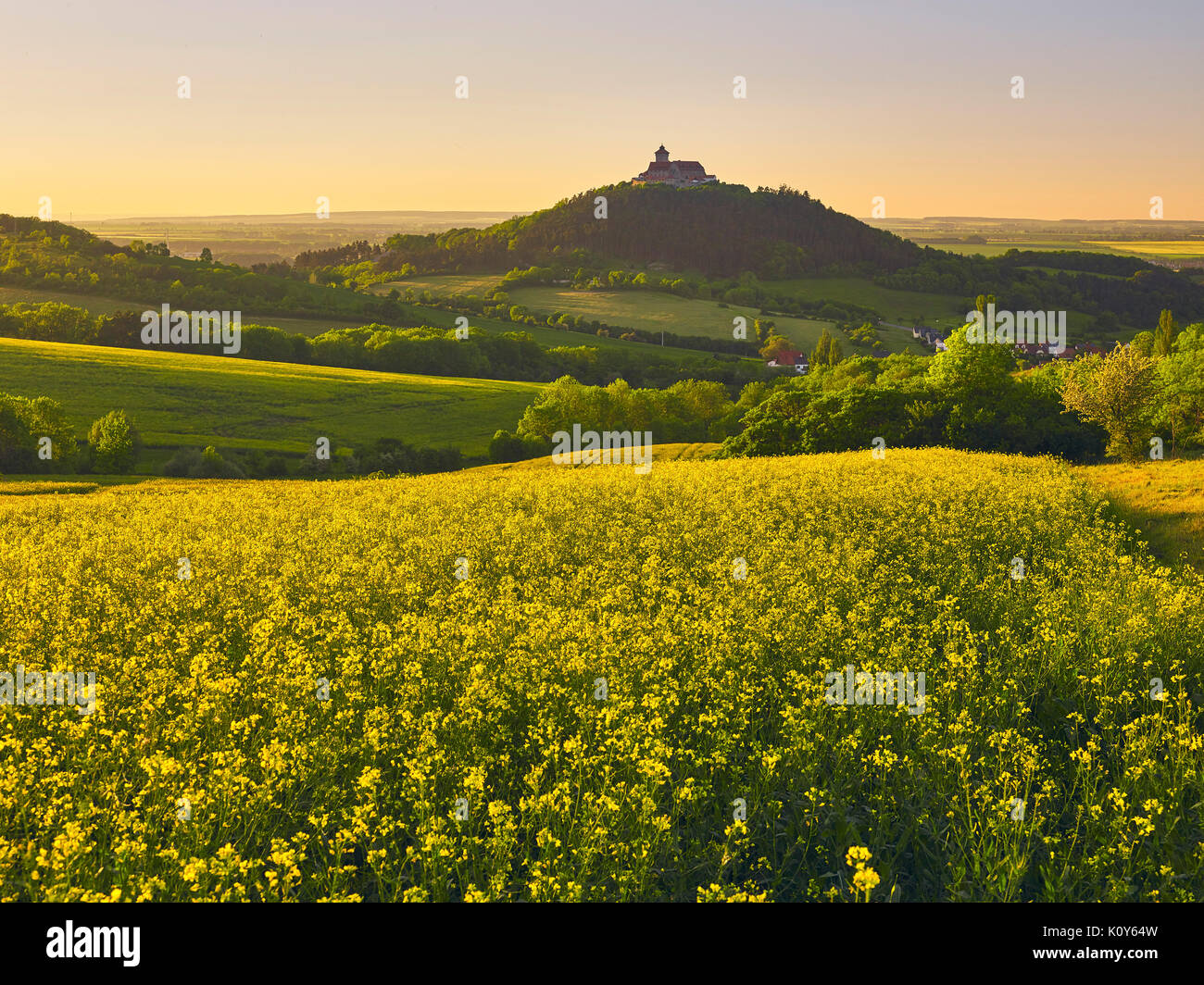 A la vista de Wachsenburg cerca de Holzhausen, Drei Gleichen, Turingia, Alemania Foto de stock