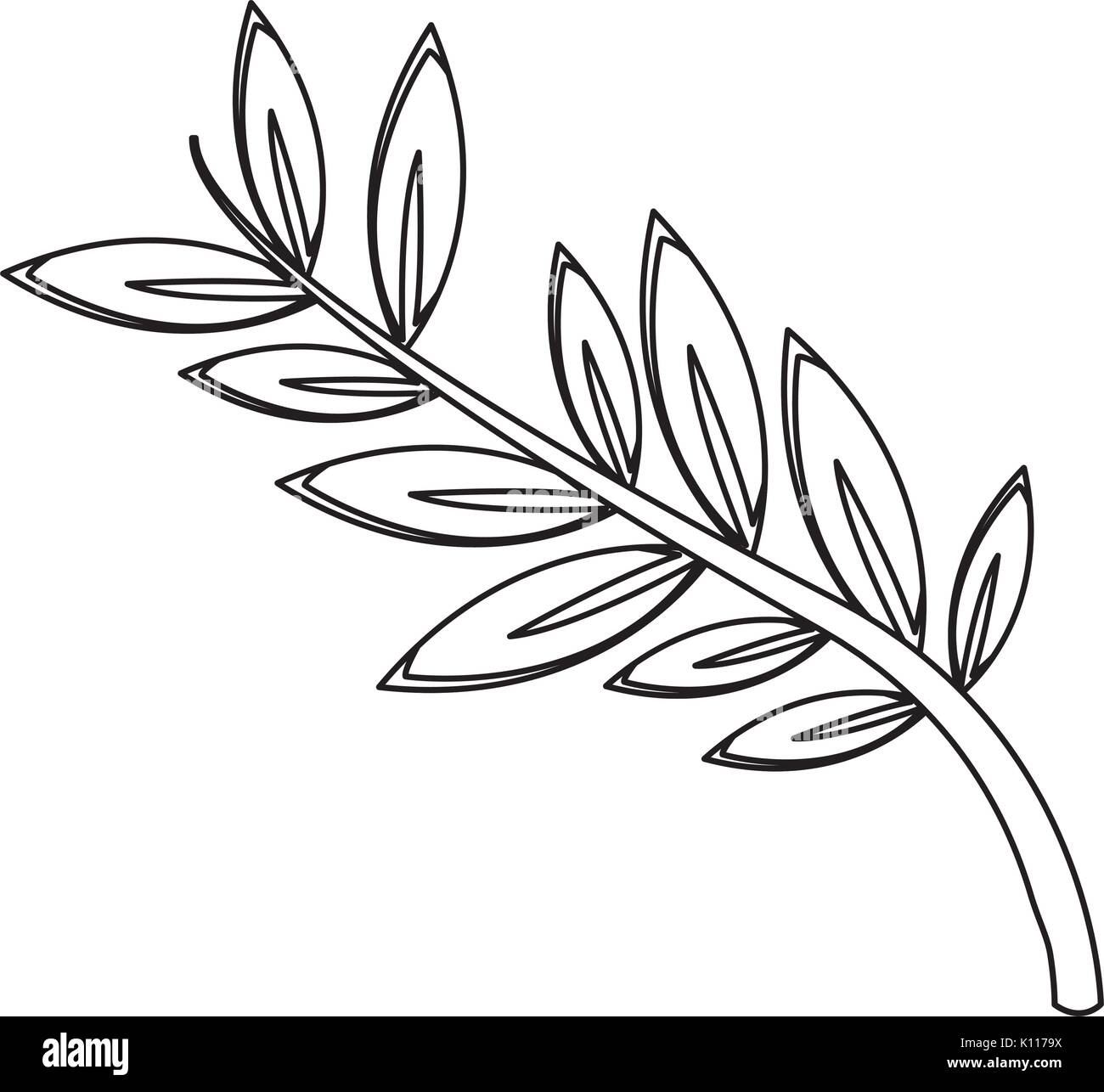 Rama de Olivo hojas flora símbolo de paz Imagen Vector de stock - Alamy