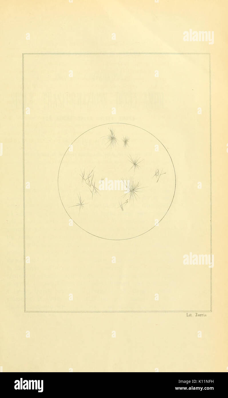 Gioenia Atti della Accademia di Scienze naturali en Catania BHL5703543 Foto de stock