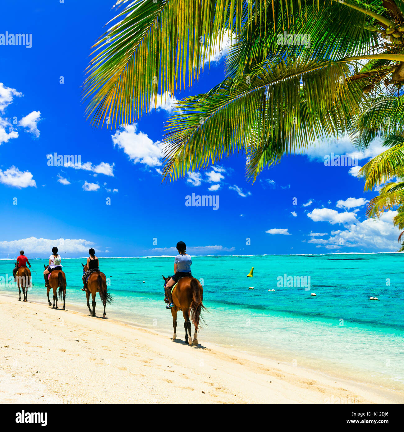 Arena blanca,caballos y palmera,la Isla Mauricio. Foto de stock