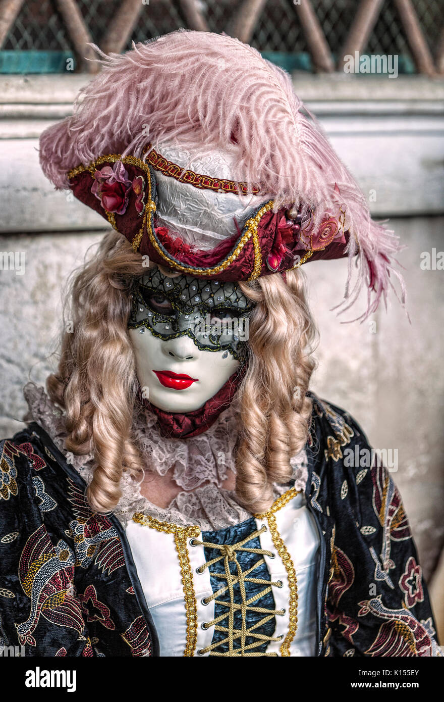 Una mujer en una máscara veneciana y el vestuario con un faisán la pluma en  su sombrero Fotografía de stock - Alamy