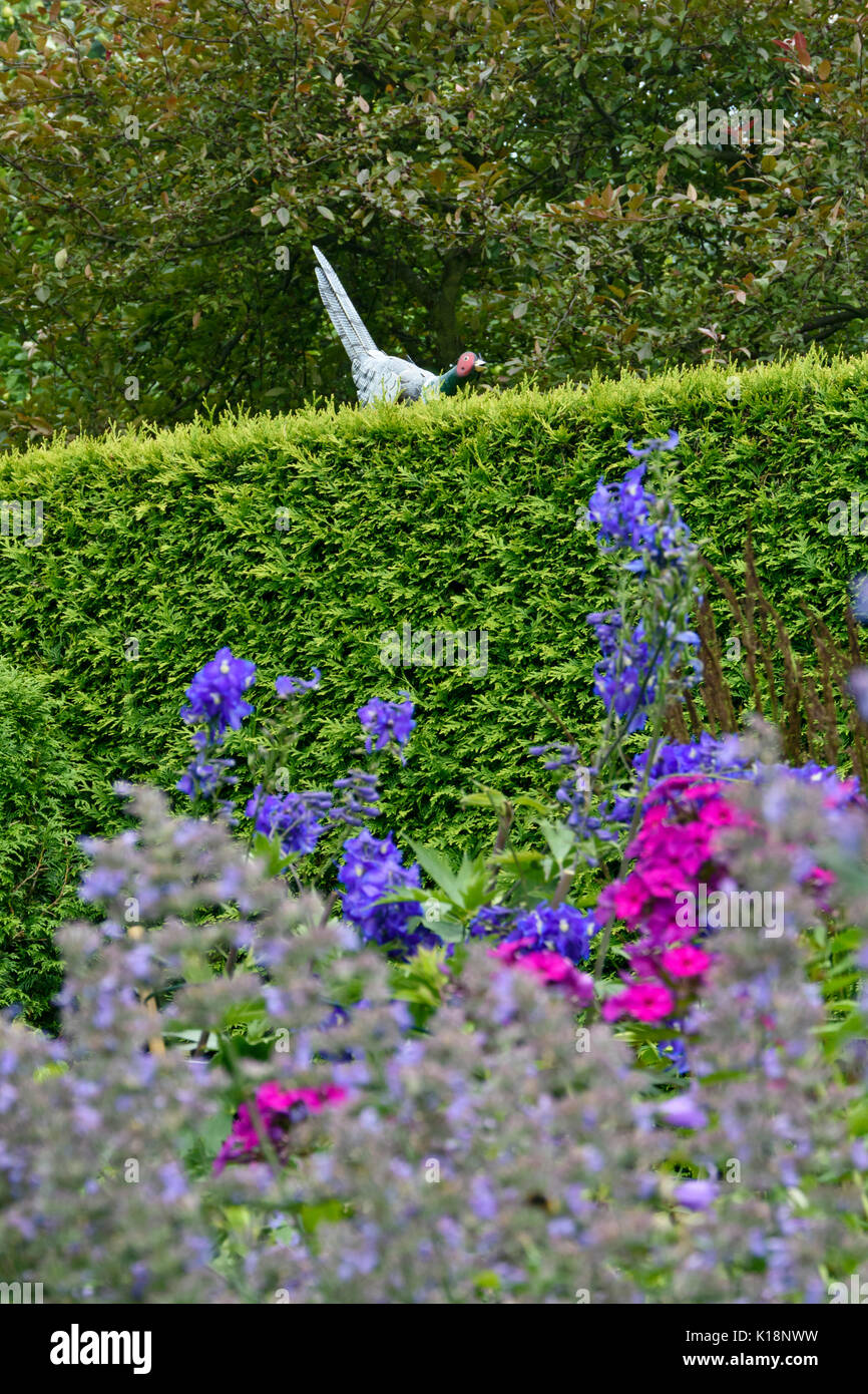 Faisán artificial en un arborvitae hedge. diseño: Marianne y detlef lüdke Foto de stock