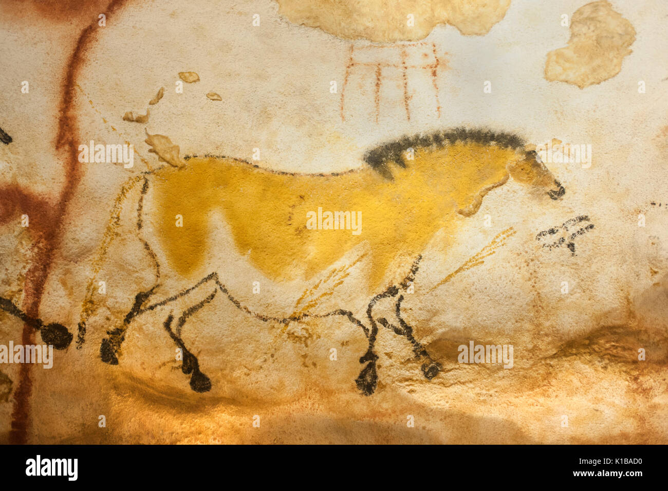 Pinturas rupestres prehistóricas de Wild Horse (Caballo dun), las cuevas de Lascaux, IV, Perigord, Montignac, Dordogne, Francia Foto de stock
