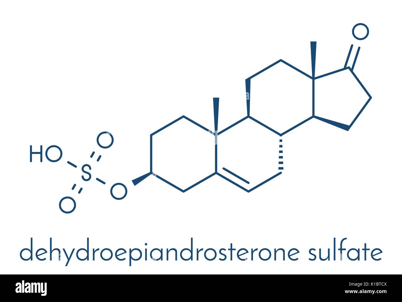 Sulfato de dhea Fotos e Imágenes de stock Alamy