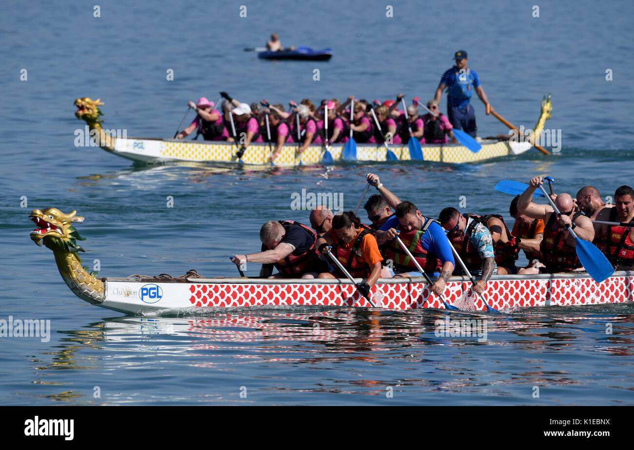 Bank Holiday Dragon Boat racing. Weymouth, Dorset, Gran Bretaña Credit: finnbarr webster/alamy live news Foto de stock