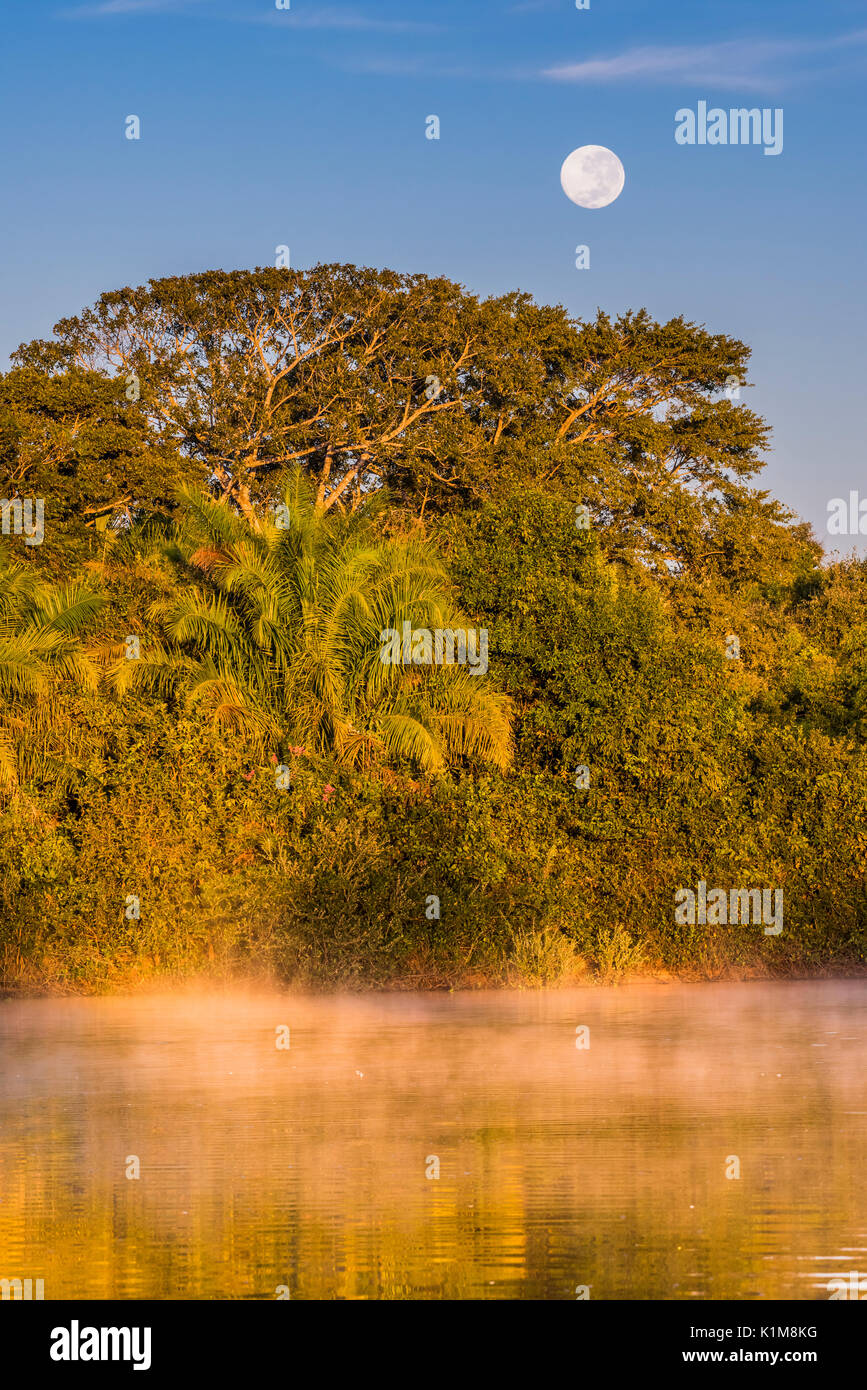 Luna Llena y niebla matutina en el amanecer sobre el Río Negro en el sur del Pantanal, Fazenda Barranco Alto, Pantanal Foto de stock