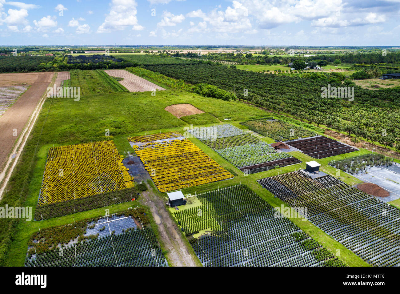 Miami Florida,Homestead,tierras agrícolas,granja,vivero,vista aérea,  FL17081875D Fotografía de stock - Alamy