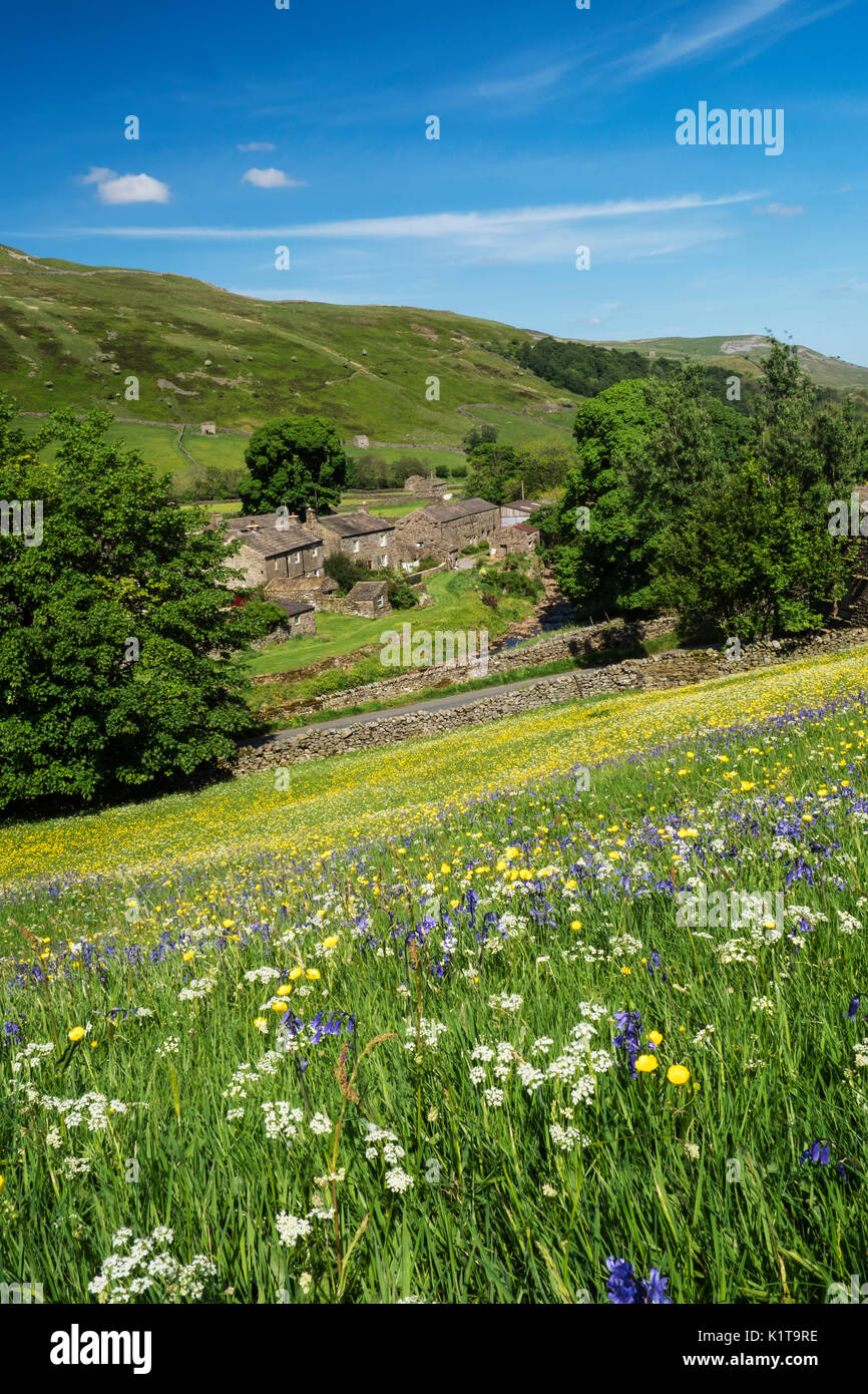 Los Prados de flores silvestres, Swaledale, Yorkshire Dales National Park, Yorkshire Foto de stock