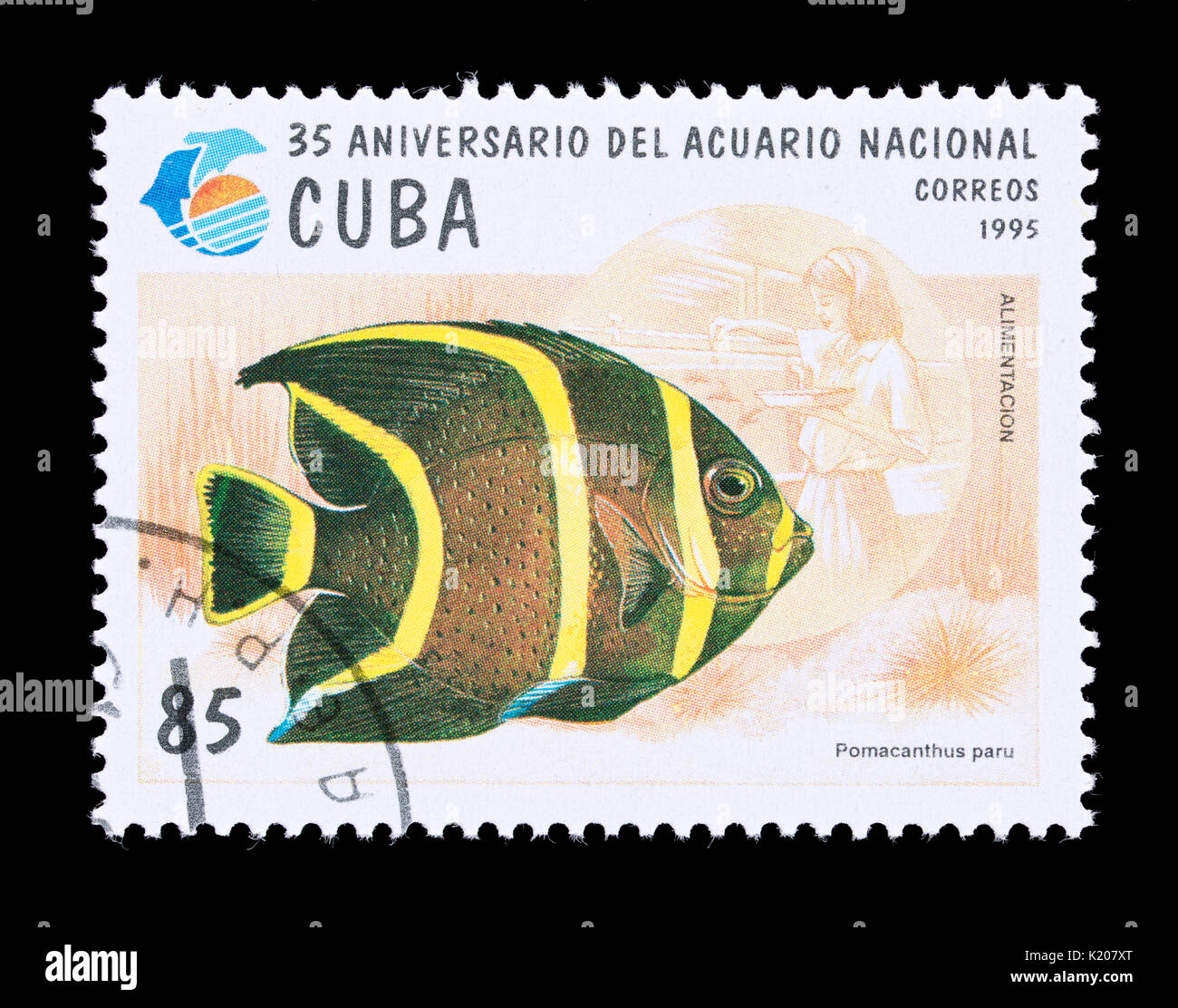 Sello de Cuba representando un pez ángel francés (Pomacanthus paru), 35'aniversario del Acuario Nacional Foto de stock