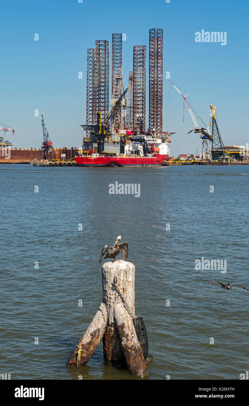 Texas, Galveston, Puerto, Pelican sobre pilotes, plataforma de perforación costa afuera y el buque de apoyo Foto de stock