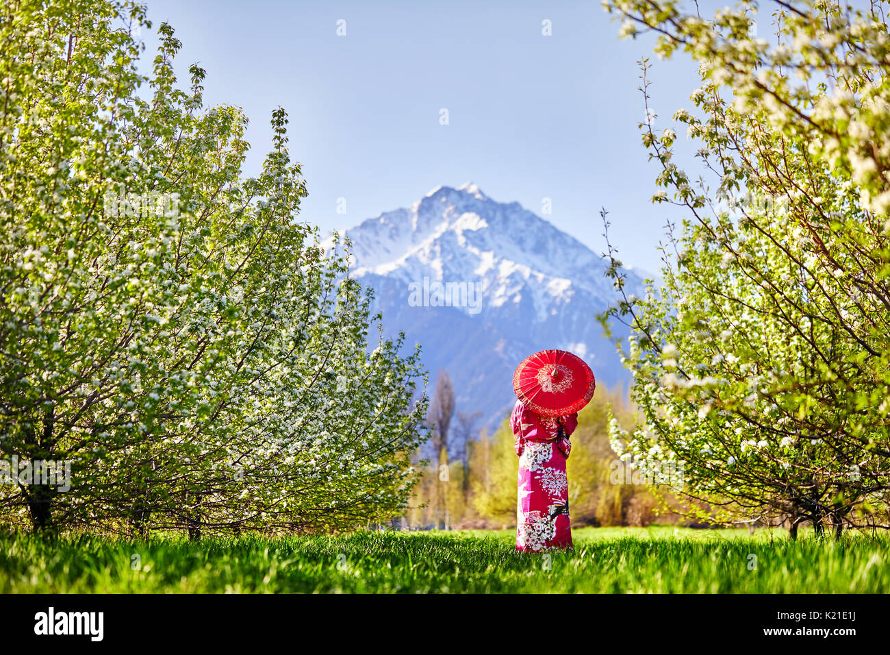 Mujer en kimono con sombrilla roja en el jardín de los cerezos en flor en el fondo de montaña Foto de stock