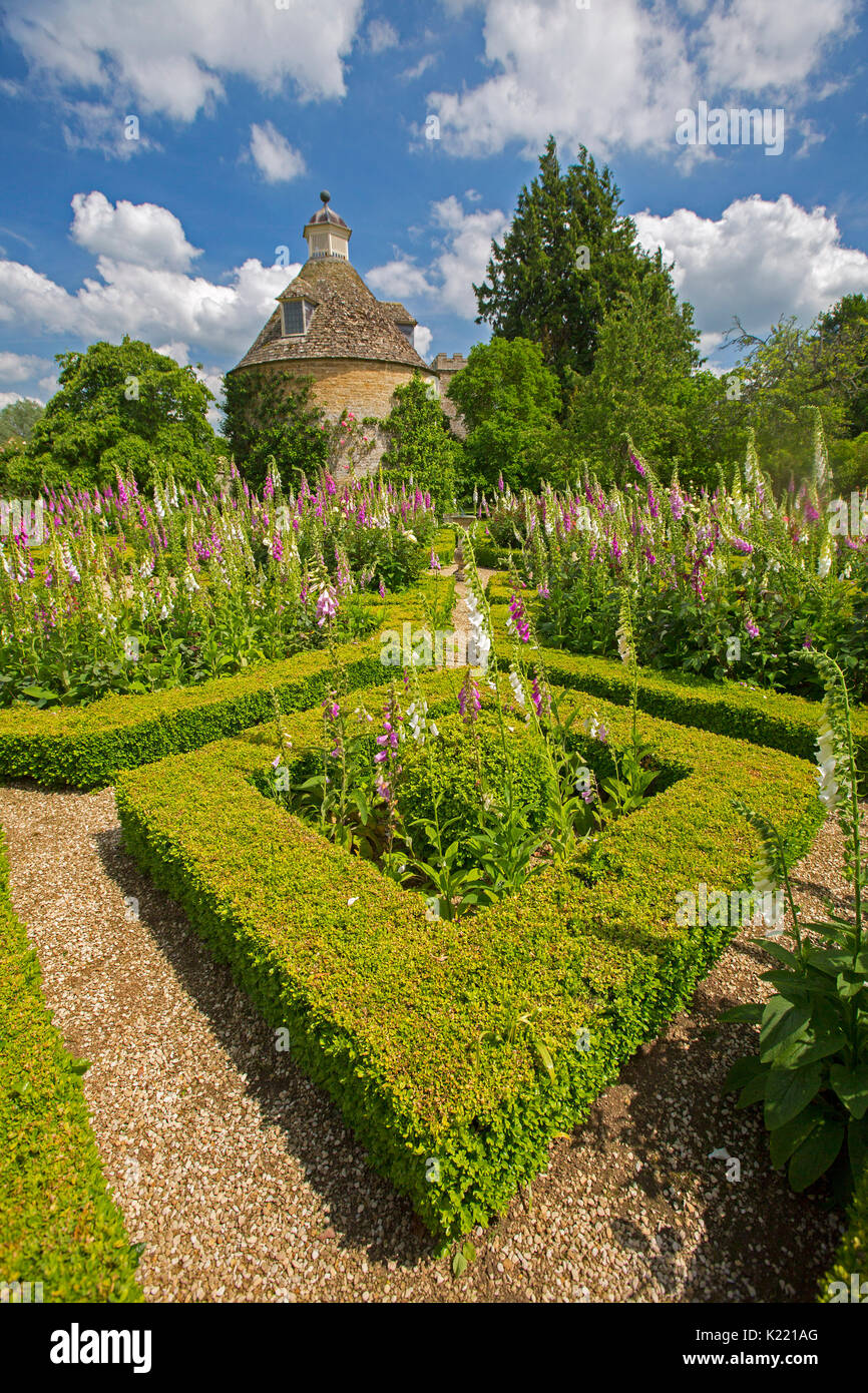 Bajo los setos de tejo, jardín nudo, en el diseño geométrico con masas de rosa y blanco foxgloves bajo un cielo azul en Rousham jardines, Oxfordshire, Inglaterra Foto de stock