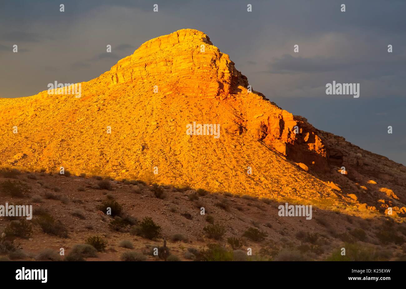 Estrías de roca arenisca conforman la pequeña Finlandia formación en el Butte Oro Monumento Nacional el 27 de septiembre de 2016 cerca de Mesquite, Nevada. Foto de stock