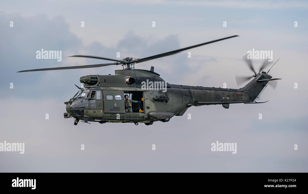 Puma hc2 fotografías e imágenes de alta resolución - Alamy