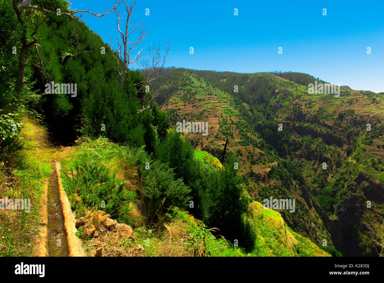 Hermoso paisaje de la isla de Madeira, mientras hacen un caminar por las levadas. Una caminata que le permite tomar la fotografía de la naturaleza más impresionantes Foto de stock