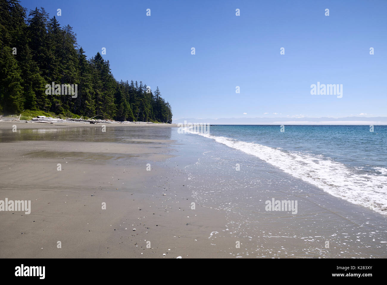Las costas arenosas playa China en verano, místico paisaje de Playa, Parque Provincial Juan de Fuca escenografía, Port Renfrew, costa sur de la isla de Vancouver, Briti Foto de stock