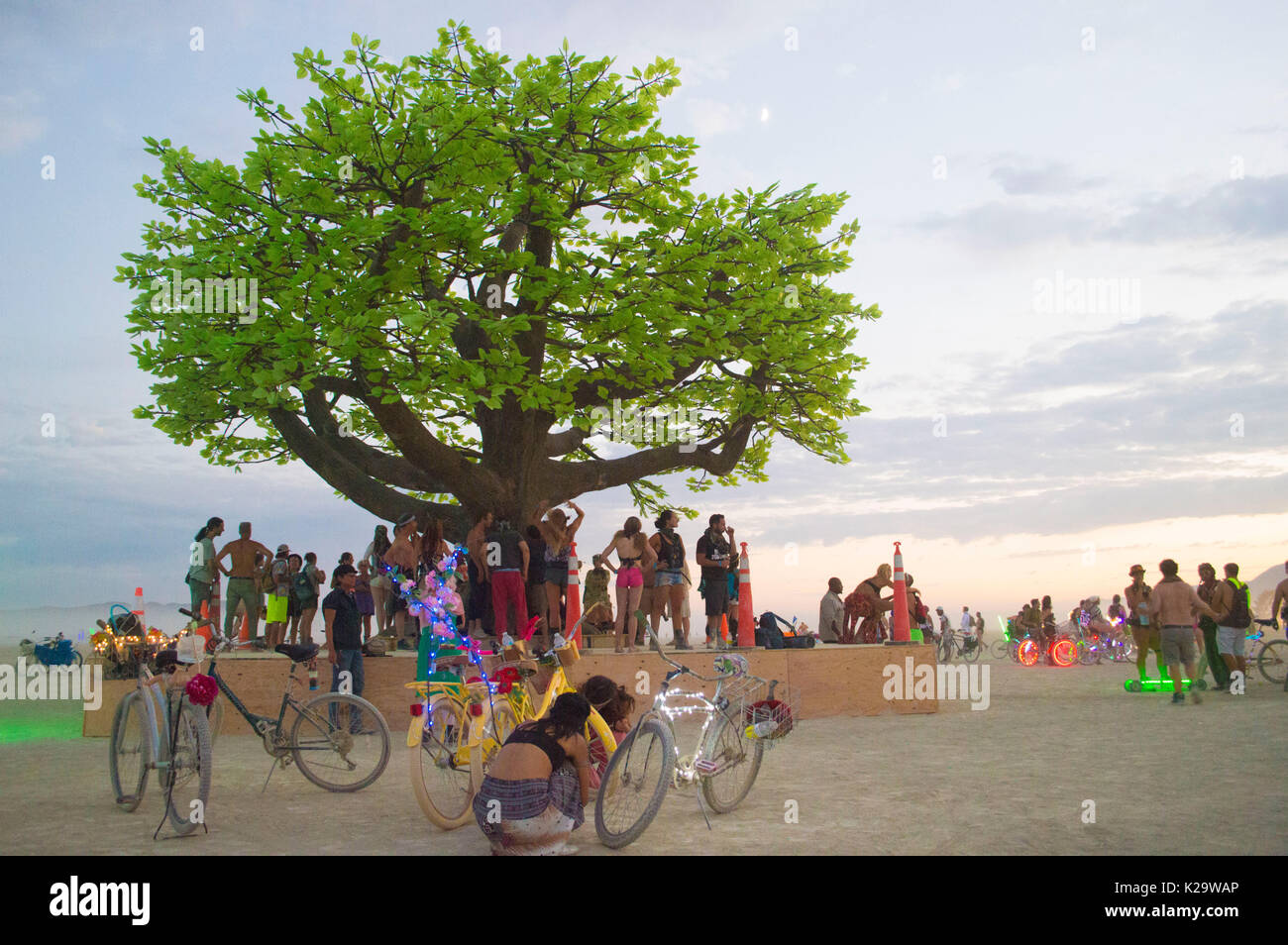 Los quemadores se reúnen alrededor de un árbol gigante escultura al atardecer en la playa, como el desierto del festival anual de Burning Man cierra el primer día de este evento de una semana de duración, del 27 de agosto de 2017 en la ciudad de Black Rock, Nevada. El festival atrae a 70.000 asistentes en uno de los más remotos e inhóspitos desiertos en América. Foto de stock