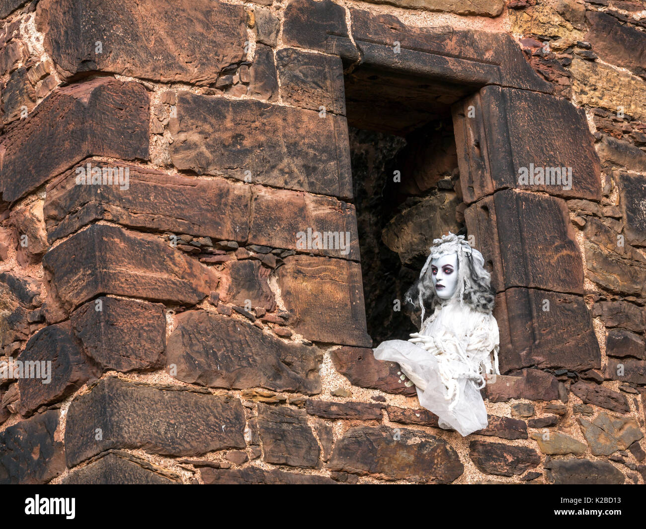 Mujer fantasmal con ojos rojos intermitentes en la ventana de apertura de la hiedra arruinada cubierto Castillo de Redhouse en Halloween Time, East Lothian, Escocia, Reino Unido Foto de stock