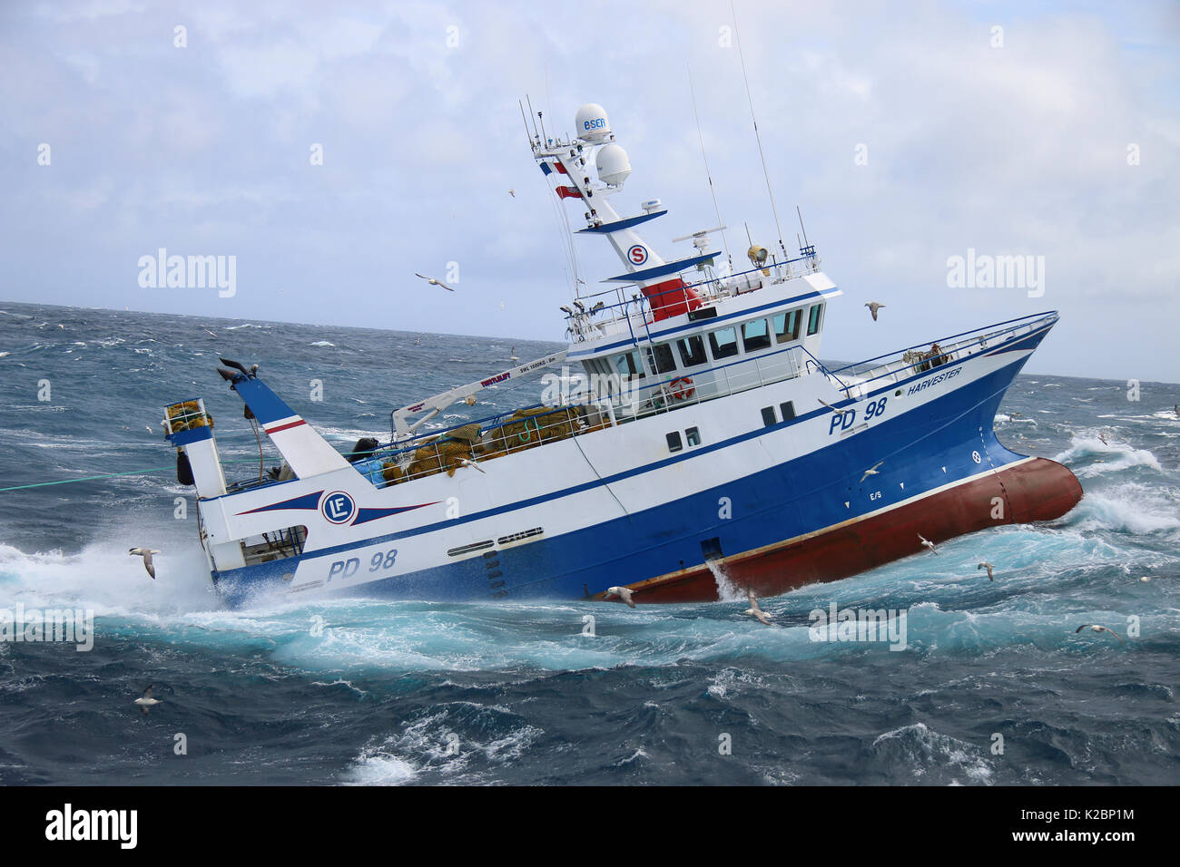Buque de pesca 'Cosechadora' abarrotada hasta su red de arrastre. Mar del Norte. Julio de 2015. Liberados de la propiedad. Foto de stock