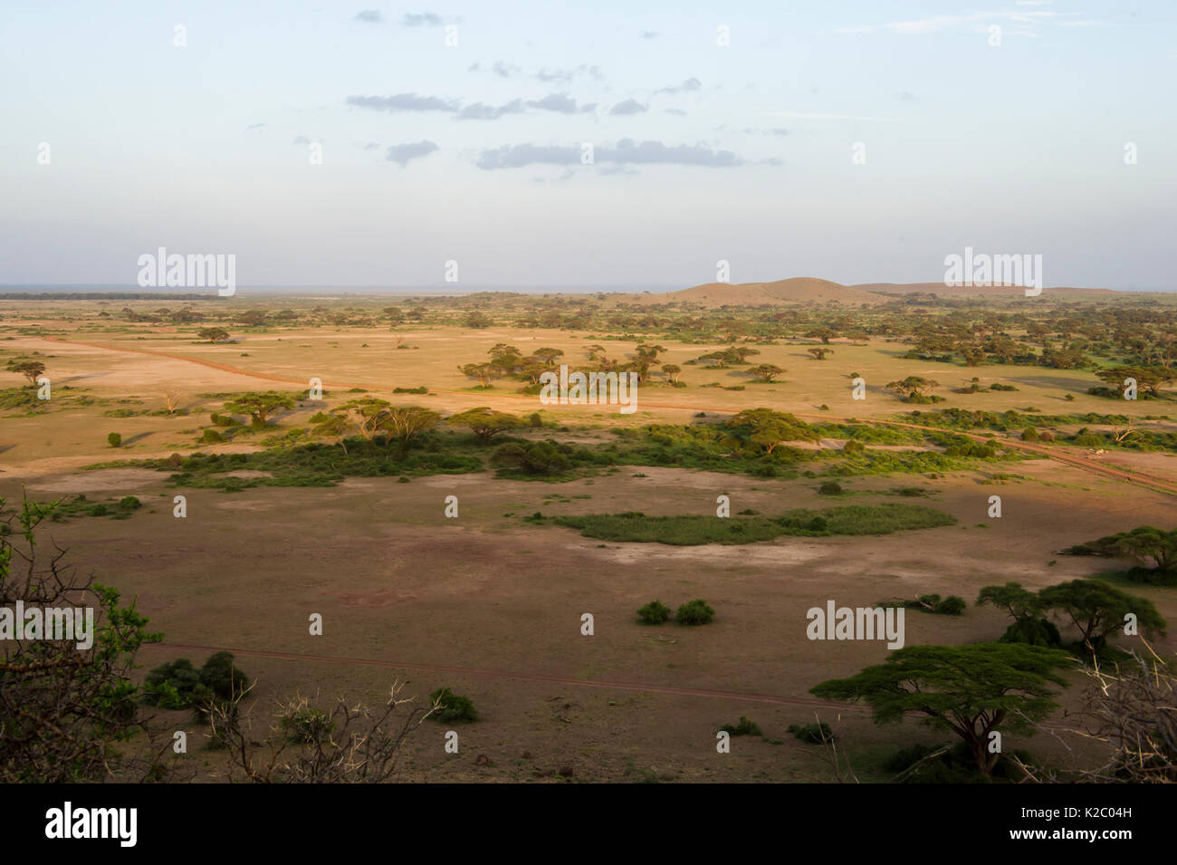 Antena de paisaje del Parque Nacional de Amboseli, en Kenya, en enero de 2015. Foto de stock