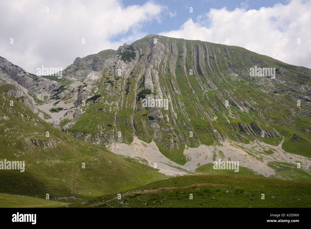 Plegada verticalmente capas de roca caliza de montaña Prutas, Parque Nacional de Durmitor, Montenegro, julio de 2014. Foto de stock