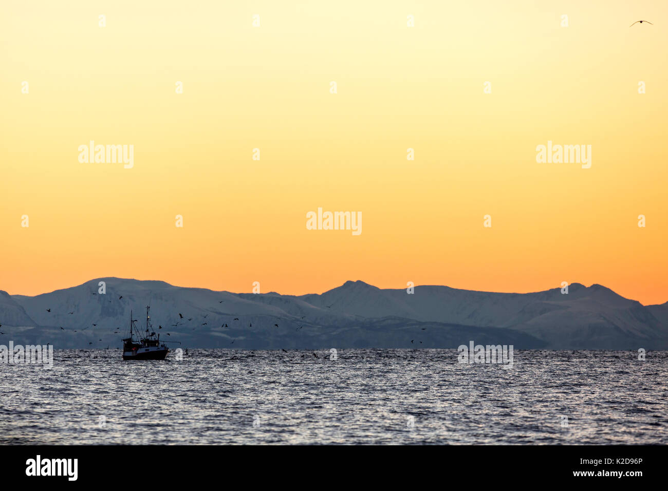 Barco de pescadores en el mar al atardecer, andenes, la isla de Andoya, Océano Atlántico Norte, Noruega, enero Foto de stock
