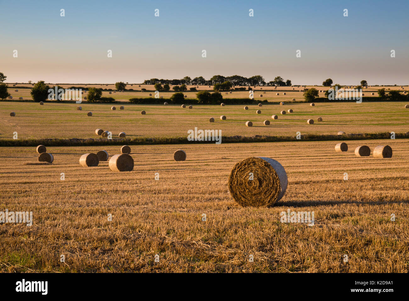 Los fardos de paja después de la cosecha a finales del verano, el paisaje de Cotswold Hawkesbury Upton, Gloucestershire, Reino Unido. De septiembre de 2015. Foto de stock