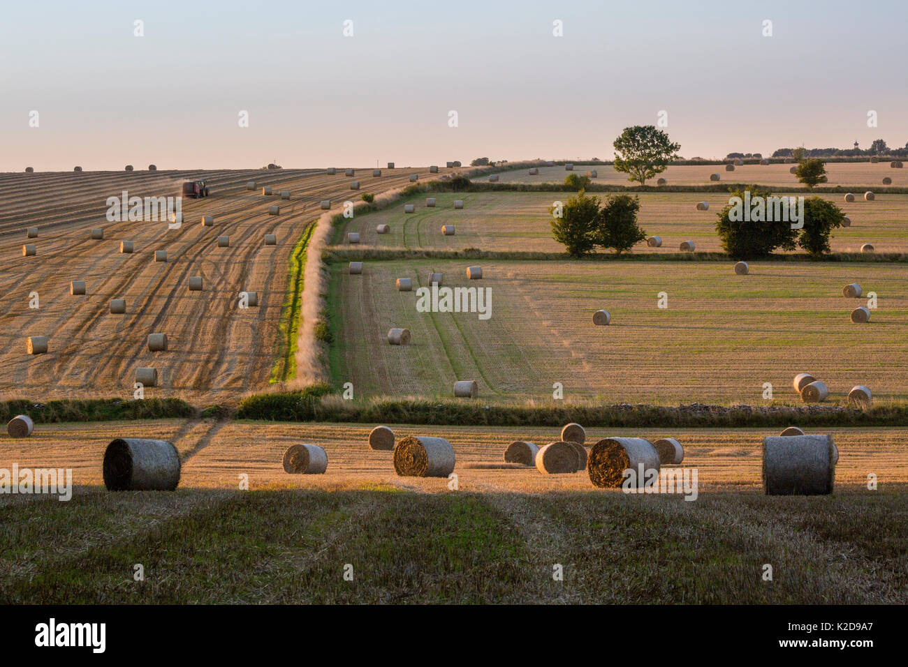 Los fardos de paja después de la cosecha a finales del verano, el paisaje de Cotswold Hawkesbury Upton, Gloucestershire, Reino Unido. De septiembre de 2015. Foto de stock