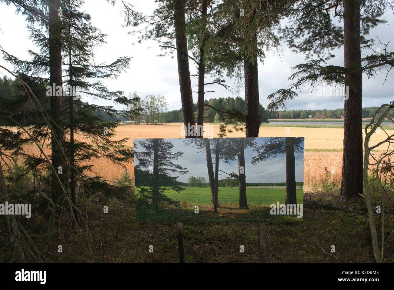 Cambio de estaciones, verano imagen / fotografía muestra en paisaje otoñal, 'el paso del tiempo" por el artista Pal Hermansen. Valer, Condado de Ostfold (Noruega). De julio de 2014. Foto de stock