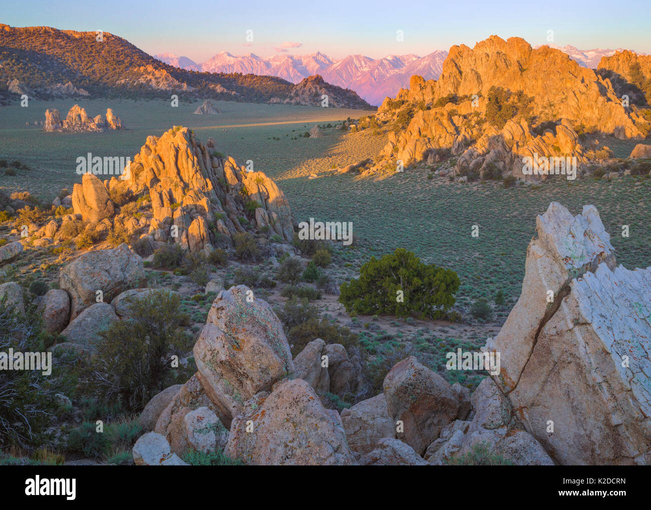 Las Montañas Inyo con artemisa valles, afloramientos rocosos, Pinyon pinos, sabinas y vistas de Sierra Nevada, California, EE.UU., Mayo. Foto de stock