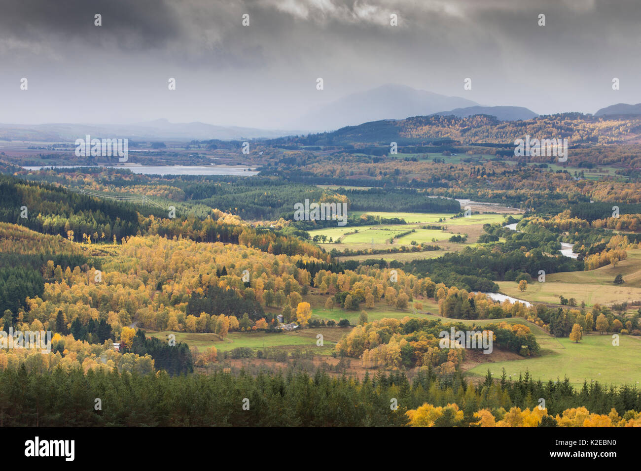 Vistas hacia el valle de Spey Kincraig, Parque Nacional de Cairngorms, Escocia, Reino Unido, octubre de 2013. Foto de stock