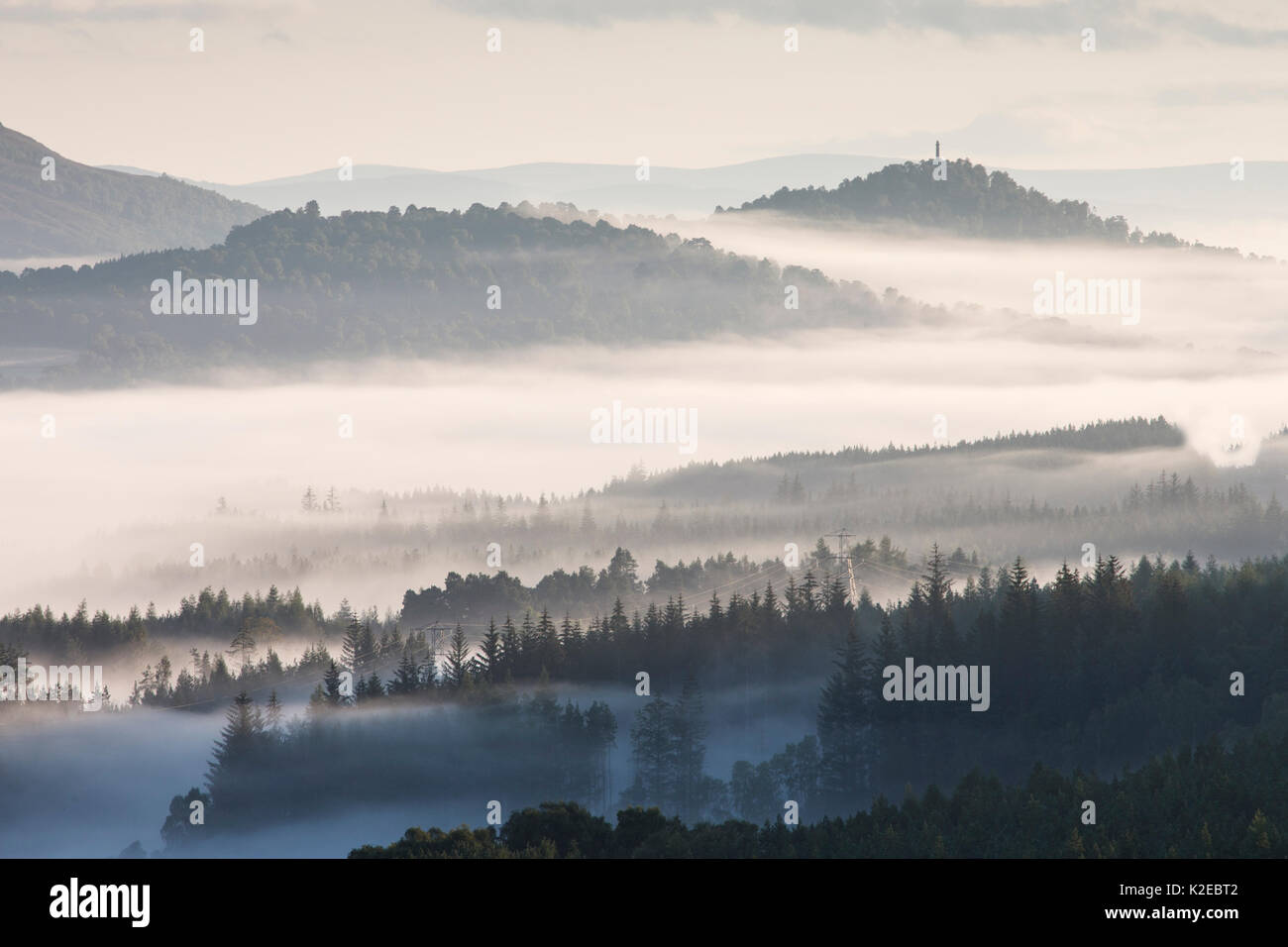Niebla de la mañana más de Strathspey, Parque Nacional de Cairngorms, Escocia, Reino Unido, agosto de 2014. Foto de stock