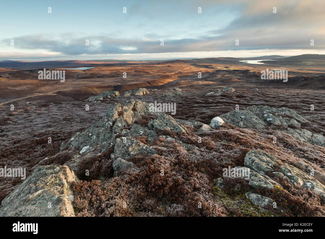 Vista al norte de Creag Righe Lochindorb un sobre y alrededor de páramos, Highland, Escocia (Reino Unido), marzo de 2016. Foto de stock