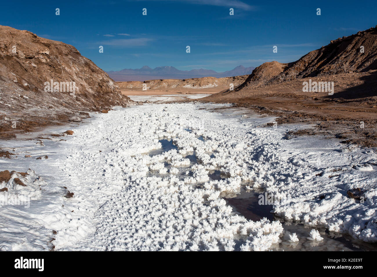 Un Salt River - las temperaturas están por encima de 38 °C, el Valle de la Cordillera de la sal, San Pedro de Atacama, el desierto de Atacama, Chile (altura 2443 m sobre el nivel del mar) Foto de stock