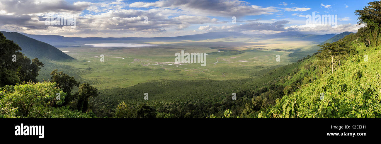Vista panorámica de todo el cráter del Ngorongoro, Tanzania. Foto de stock