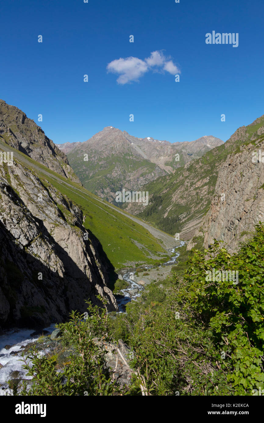 Terskey montañas Alatau, Karakol, Kirguistán. De agosto de 2016. Foto de stock