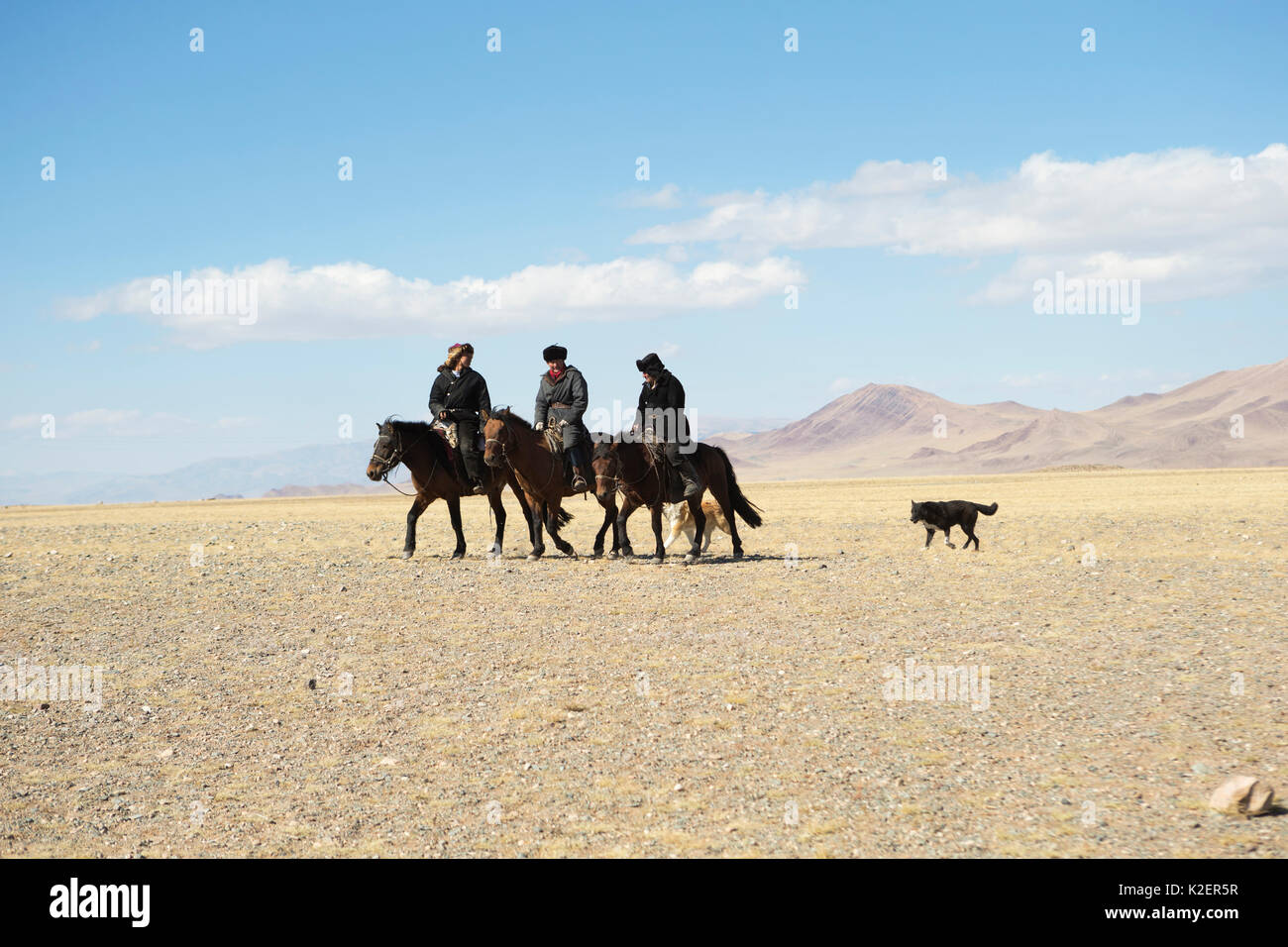 Tres cazadores de águila montados en caballos mongoles que llegan con sus perros cazadores en el Eagle Festival, cerca Sagsai, Bayan-Ulgii Aymag, Mongolia. De septiembre de 2014. Foto de stock