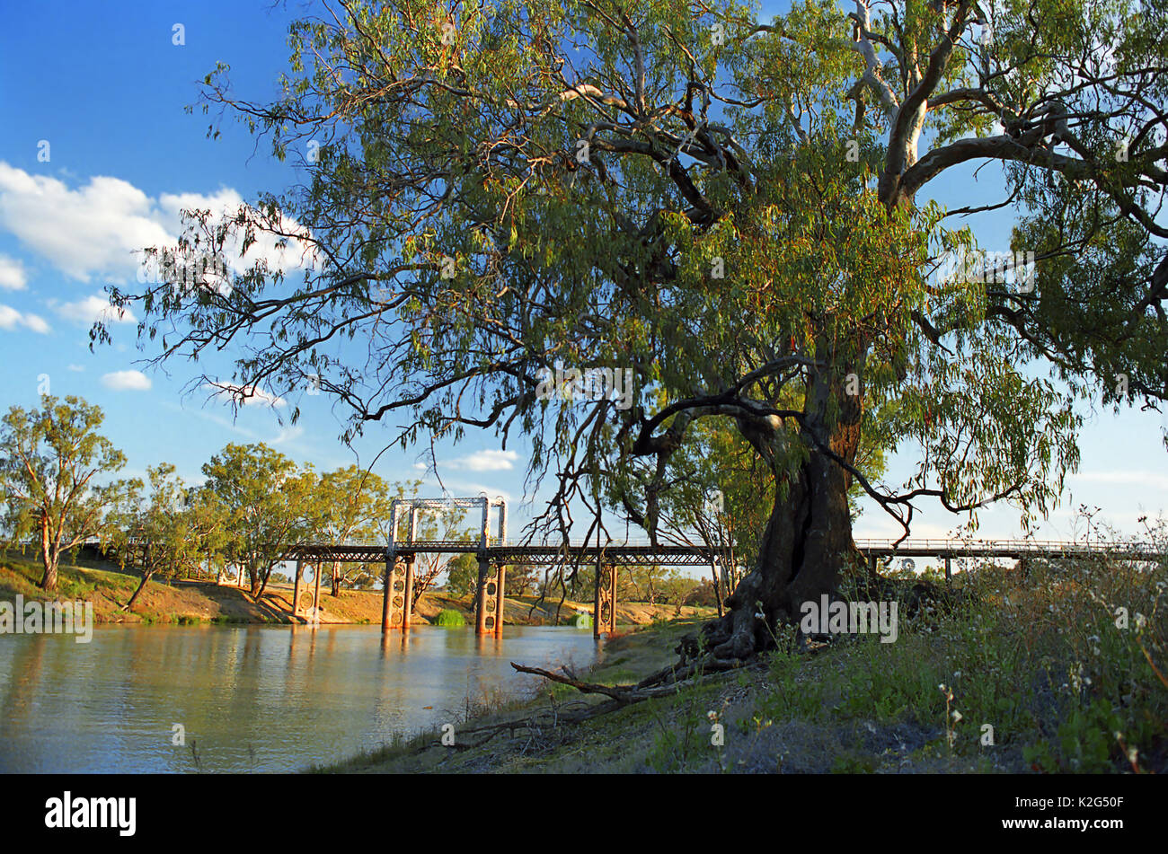 Levantar el viejo puente sobre el río Darling, North Bourke, far west, NSW, Australia. Foto de stock