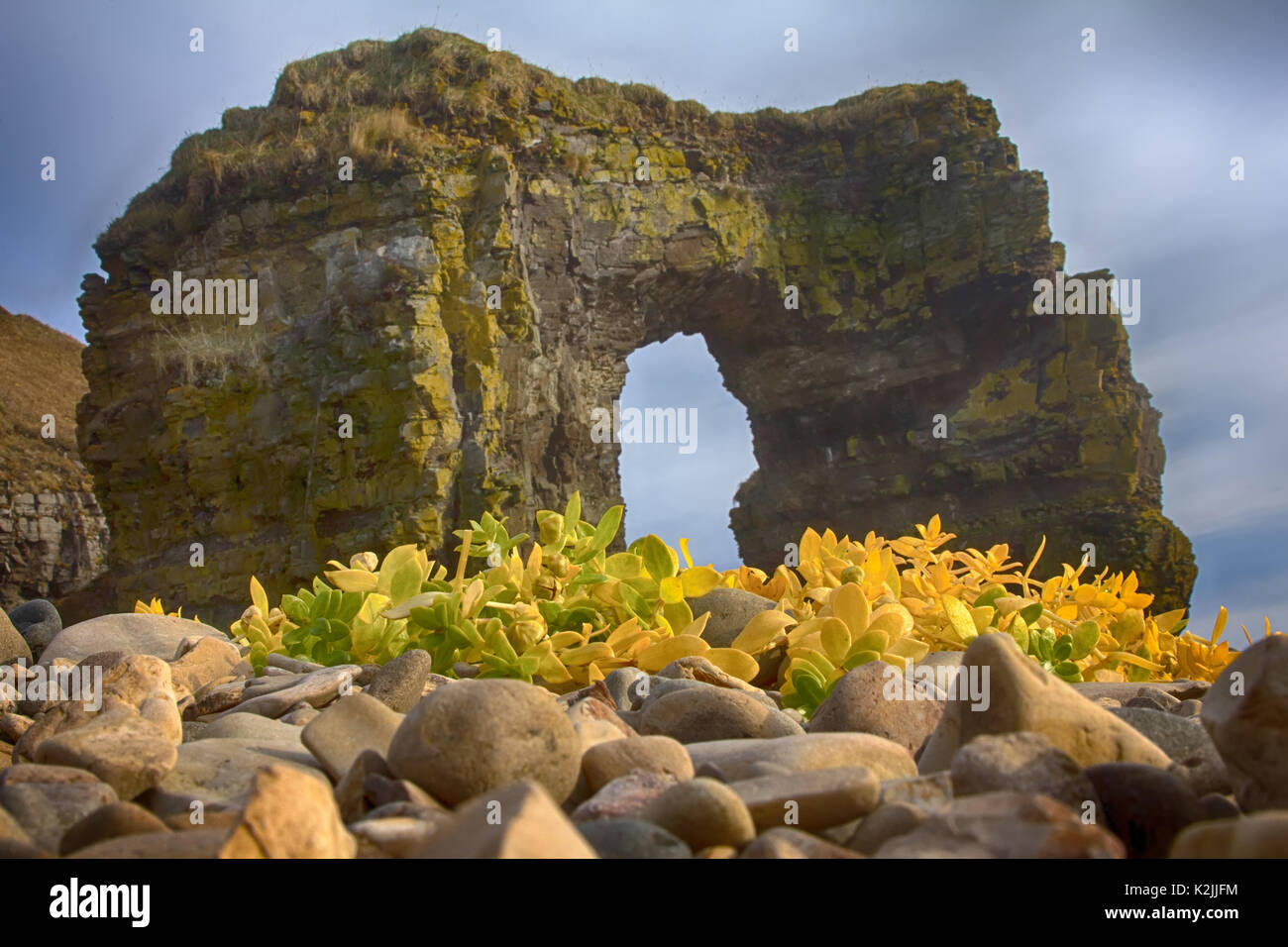 Arco de Steller (en honor del zoólogo Georg Steller). Arco de piedra maciza en la costa del océano Pacífico. La isla de Bering. Islas Commander formaciones rocosas, Foto de stock