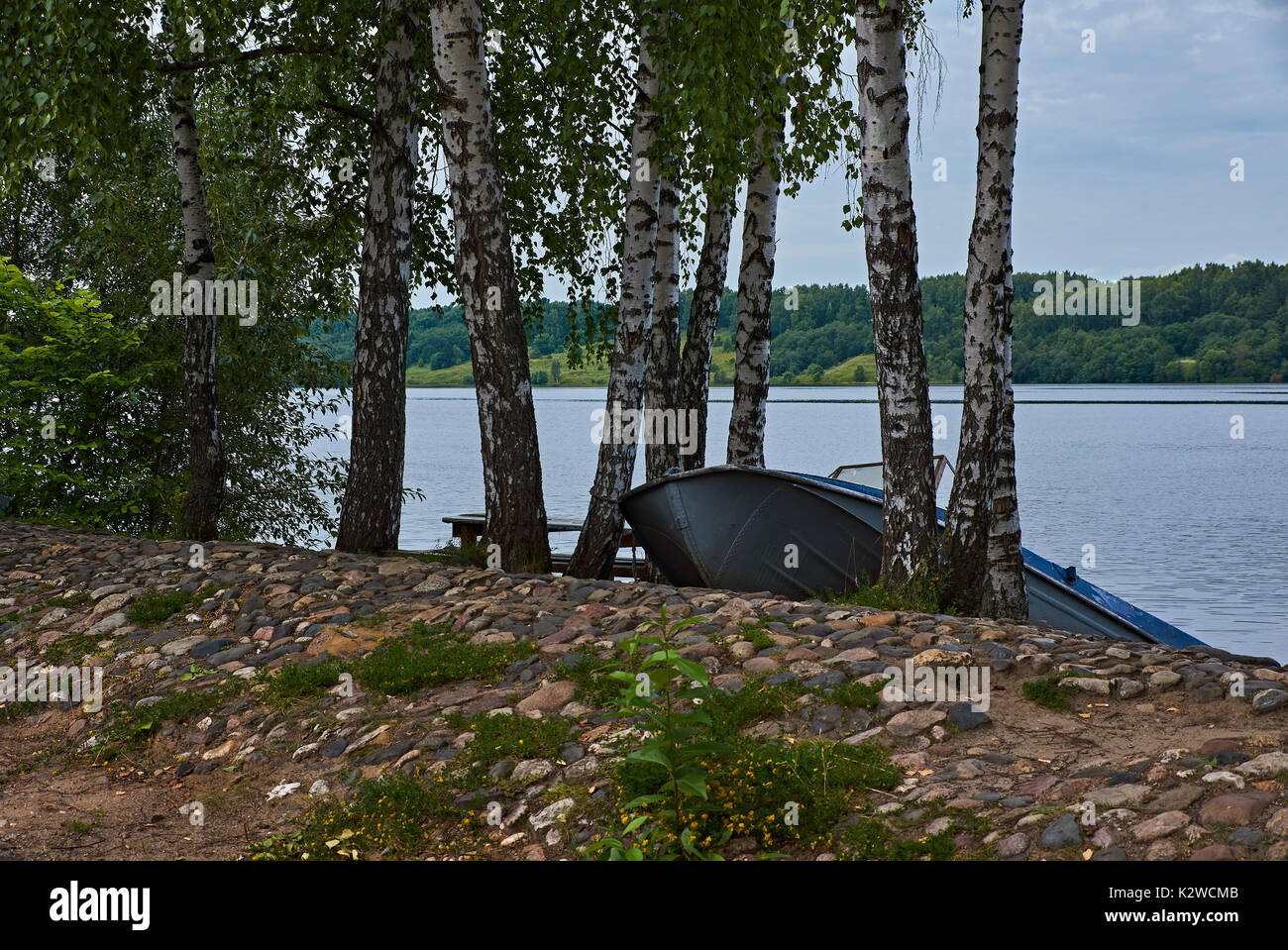 Un bote con motor se encuentra entre los abedules en la ribera del río Volga. El terraplén está pavimentada con adoquines.А bosque es visible Foto de stock
