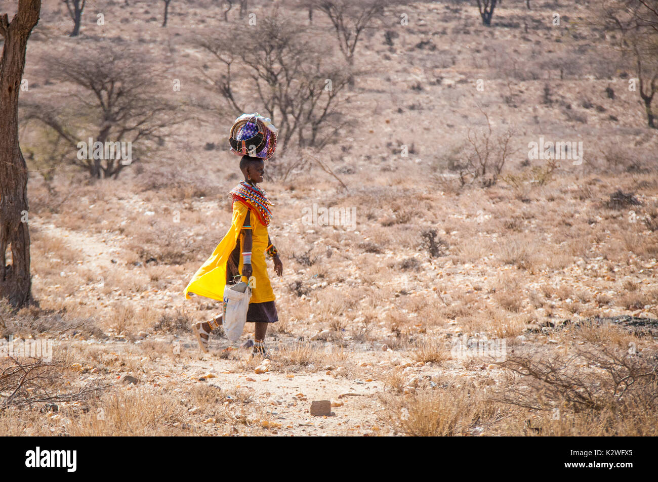 Mujer masai Samburu, vistiendo trajes tradicionales Masai, caminando a su aldea con disposiciones en paquetes que ella lleva en la mano o sobre la cabeza Foto de stock