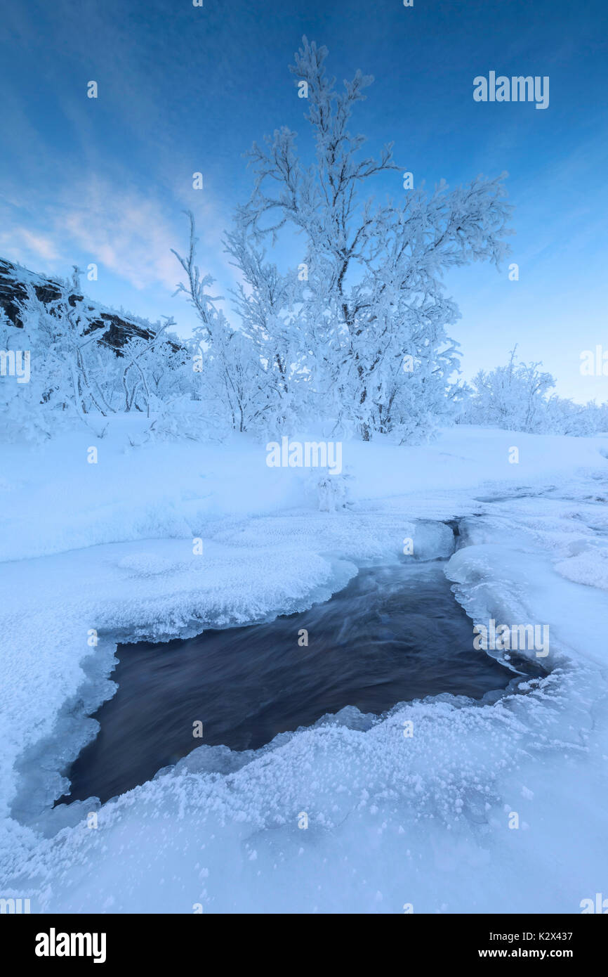 Amanecer en el río congelado, Abisko, Municipio de Kiruna, el condado de Norrbotten, Laponia, Suecia Foto de stock