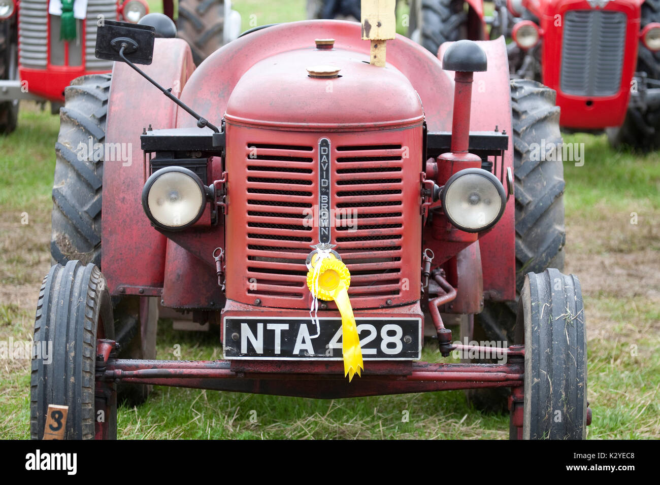 Tractor Vintage Honiton mostrar David Brown ganador del premio Rosette amarillo Foto de stock
