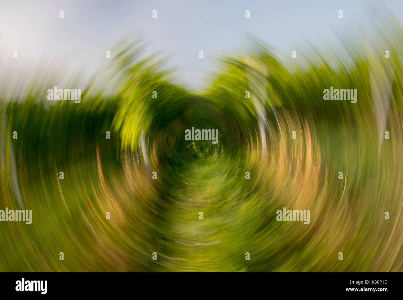 Técnica Fotográfica intencional, el movimiento de la cámara, el efecto circular causada por girar la cámara en una velocidad de obturación baja Foto de stock